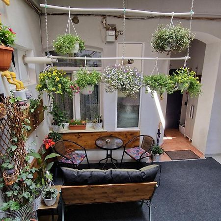 Studio Unikat Braşov Exteriör bild