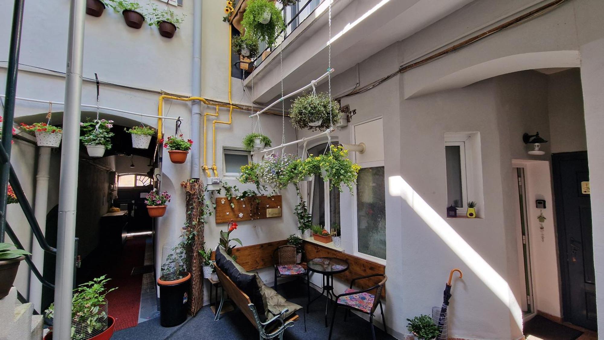 Studio Unikat Braşov Exteriör bild
